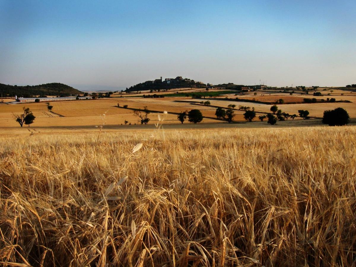Pensjonat La Granja Del Besa Cubells Zewnętrze zdjęcie
